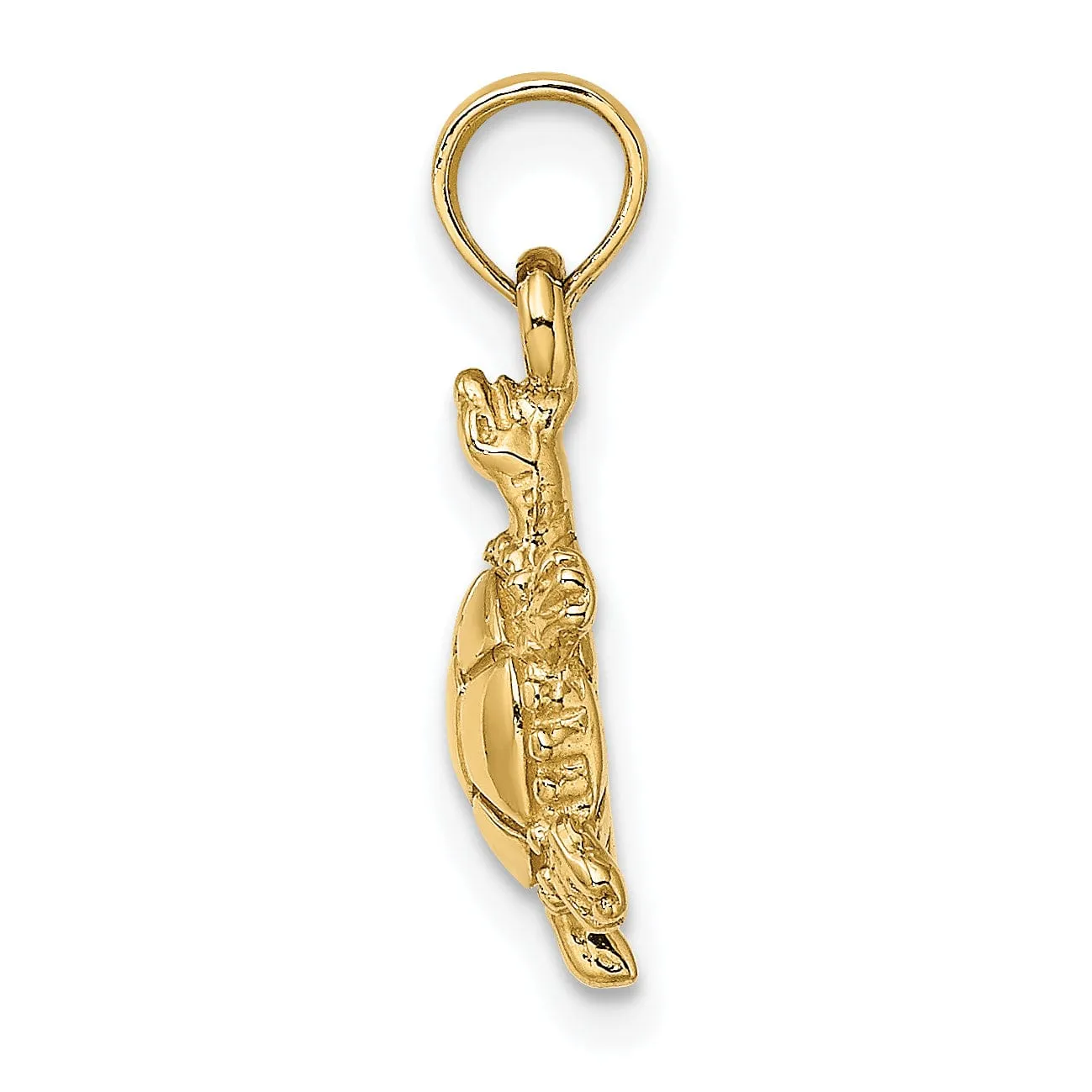 14K Yellow Gold 3D Solid Casted Textured and Polished Finish Land Turtle Charm Pendant