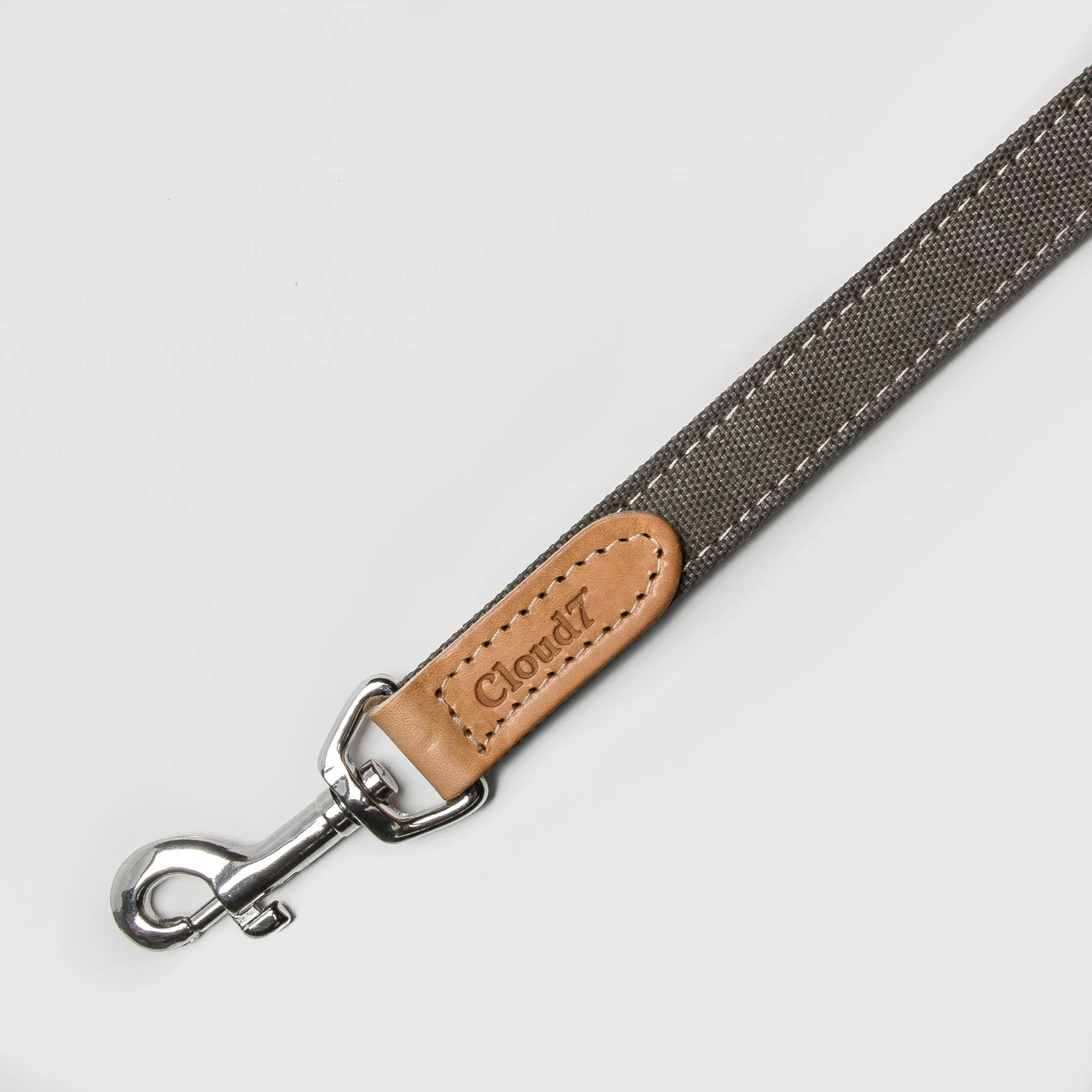 Cloud7: Tivoli Dog Leash in Canvas Leather, Greige