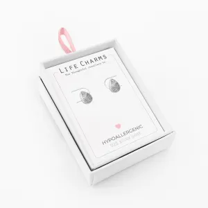 Jewellery  Silver Drop Stone Stud Earrings