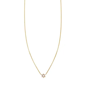 Small Diamond Star of David Necklace